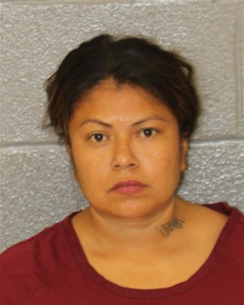 Booking photo of Mirna Garcia-rubio