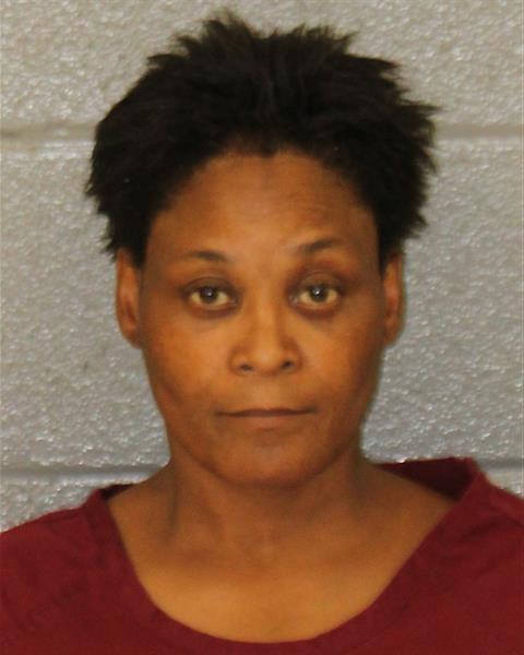 Booking photo of Sienna Johnson