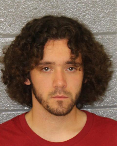 Booking photo of Darryn Palmares