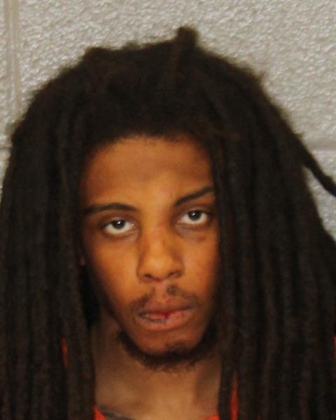 Booking photo of Samal Tavares