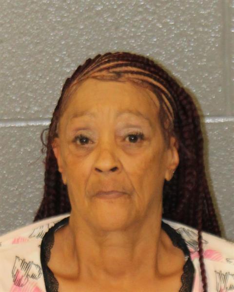 Booking photo of Lynda Mason