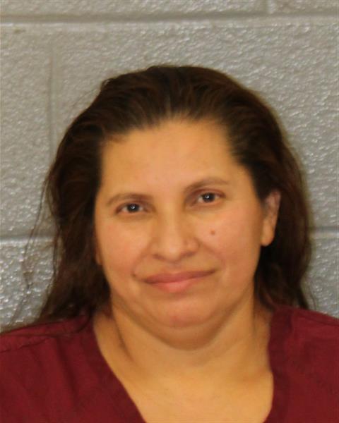 Booking photo of Anayancy Garcia
