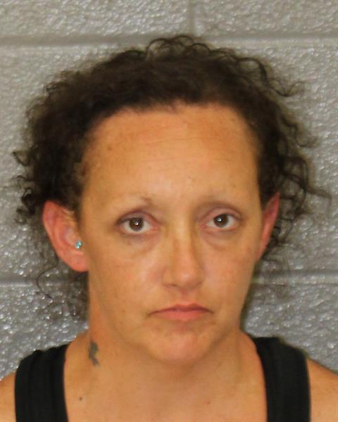 Booking photo of Anna Brendle