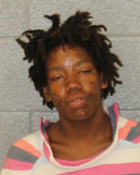 Booking photo of Antoinette Gray
