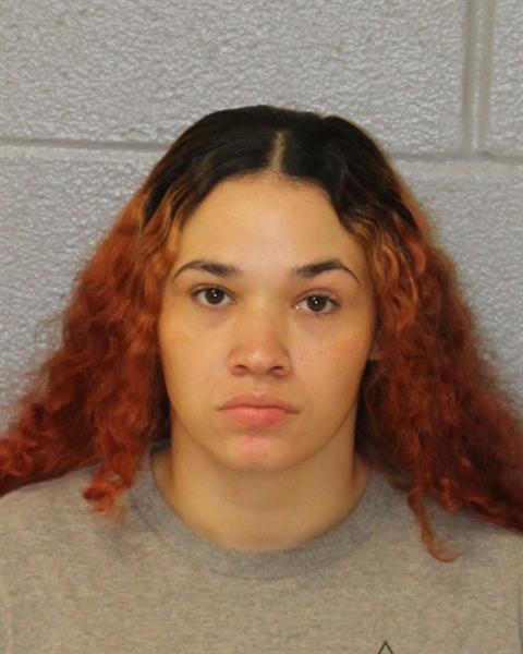Booking photo of Brittney Locklear