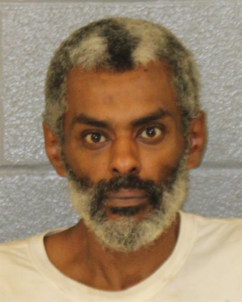 Booking photo of Henok Woldu