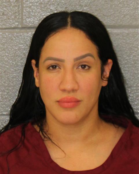 Booking photo of Sara Seda-vinas