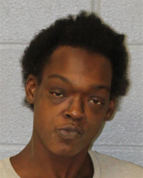 Booking photo of Brittany Jenkins