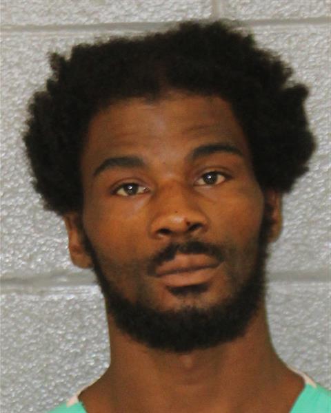 Booking photo of Alexis Smith