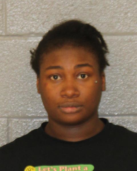Booking photo of Jamilla Hamilton