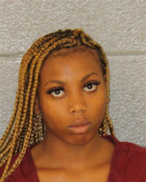 Booking photo of Brooklyn Driver