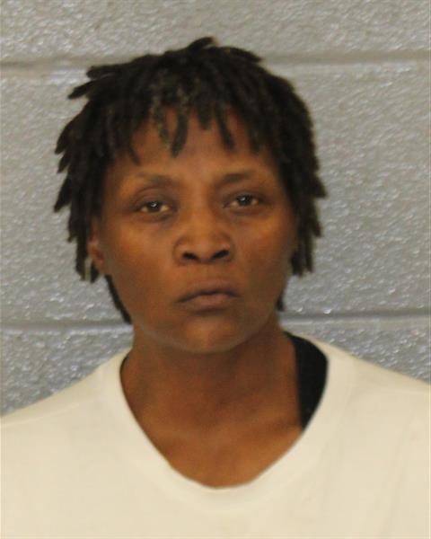 Booking photo of Jan Penland