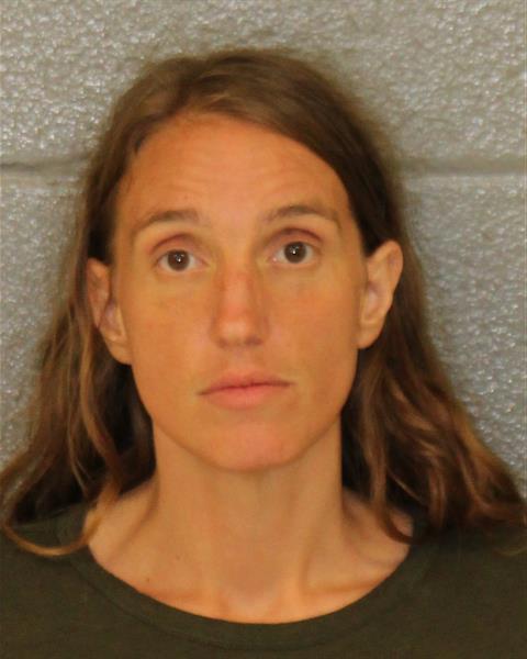 Booking photo of Brittany Harvey