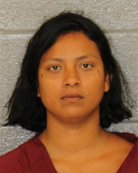 Booking photo of Litsy Palma