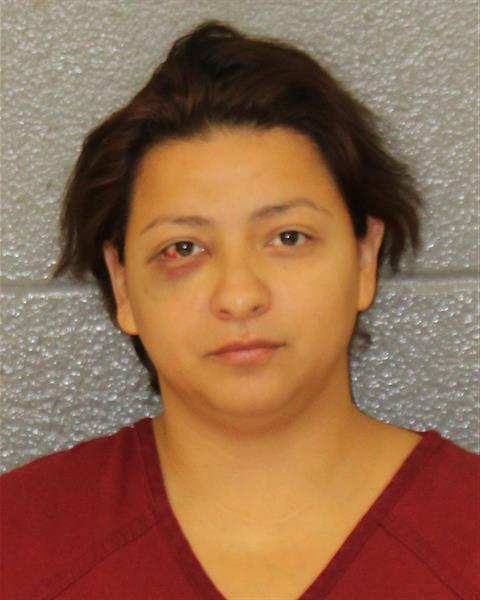 Booking photo of Yelsi Palma
