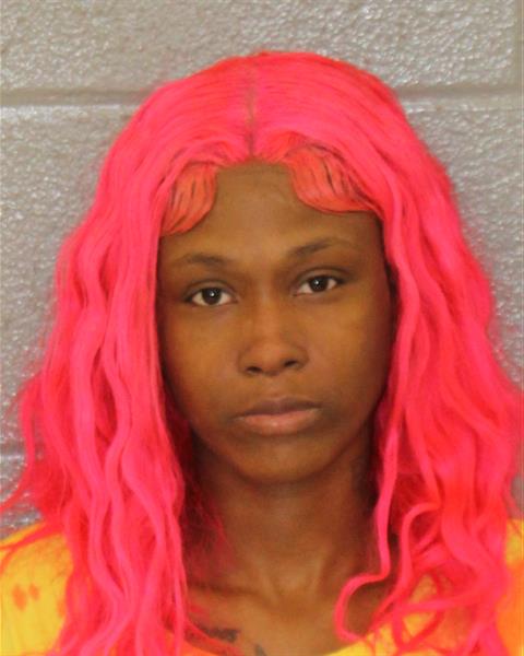 Booking photo of Mekayla Rodgers