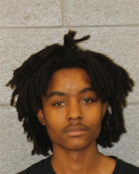 Booking photo of Darren Brice