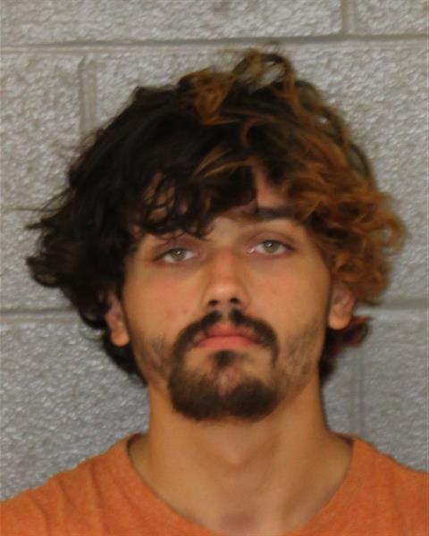 Booking photo of Michael Allison