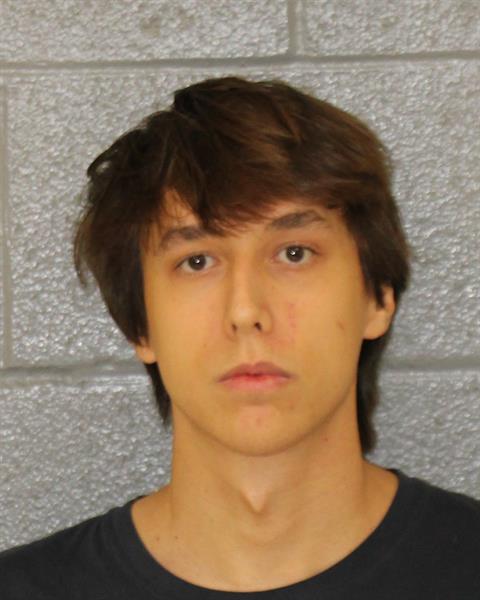 Booking photo of Burton Brinkman