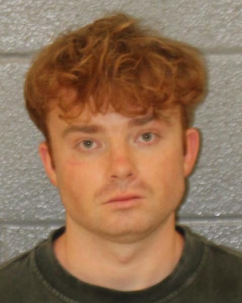 Booking photo of Deniss Armijo