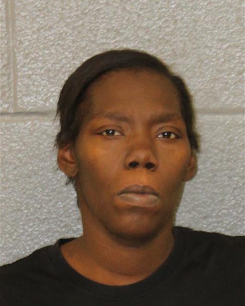 Booking photo of Lisa Hope