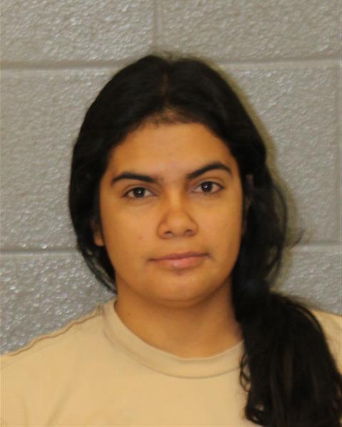 Booking photo of Nayeli De-la-o-alfaro
