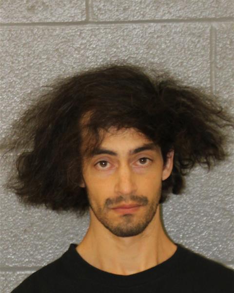 Booking photo of Nicolas Woodward