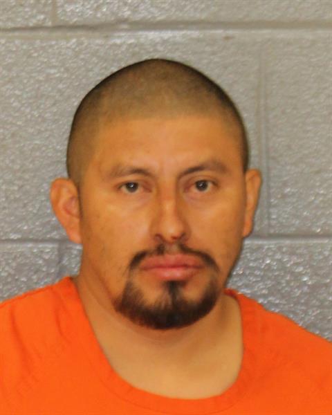 Booking photo of Pillar Castillo