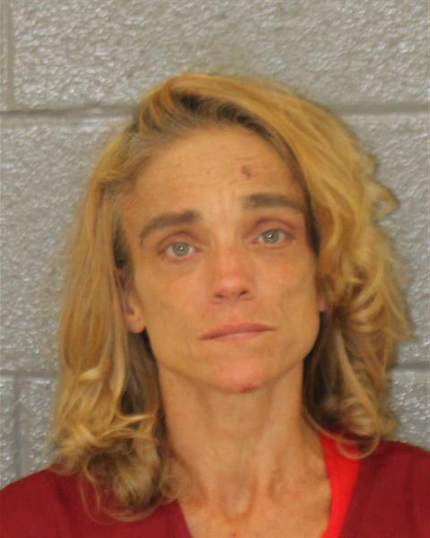 Booking photo of Shannon Leavitt