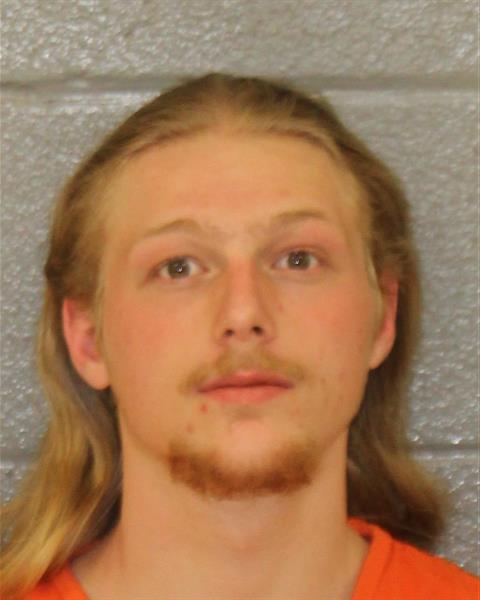 Booking photo of Colton Banks