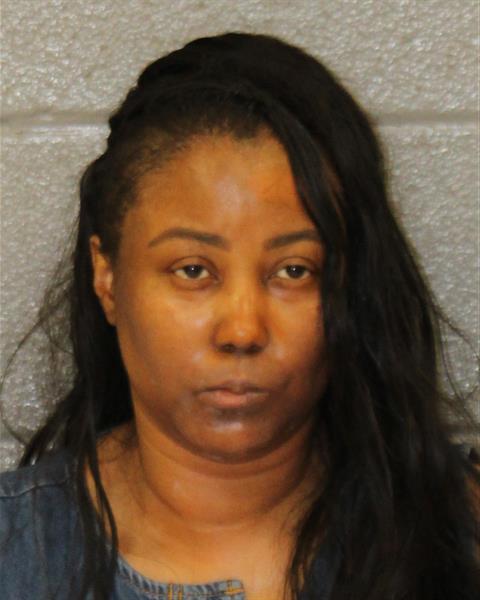 Booking photo of Heidi Mclendon