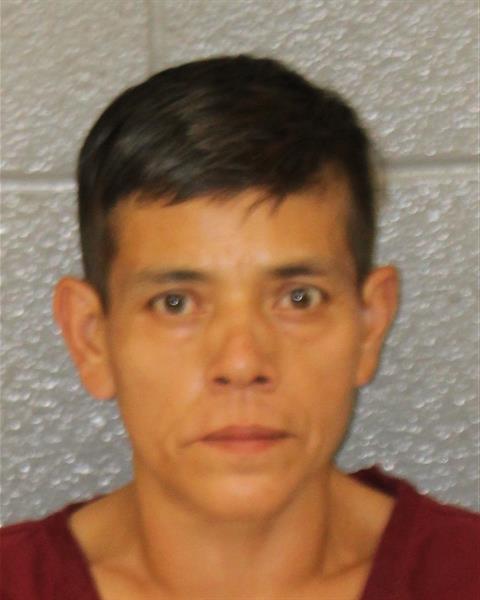 Booking photo of Blanca Alegria