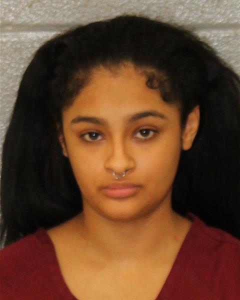 Booking photo of Brisa Guinto-cortes