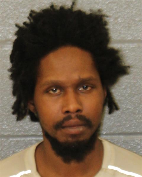 Booking photo of Torian Johnson