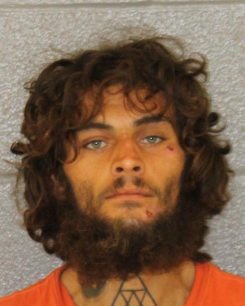 Booking photo of Nazariy Lewis