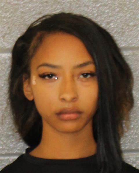 Booking photo of Sophia Brito