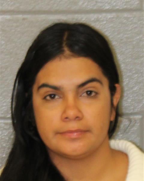 Booking photo of Nayeli De-la-o-alfaro