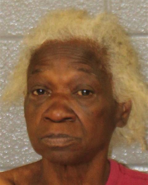 Booking photo of Gail Stewart