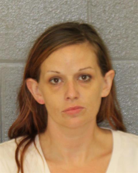 Booking photo of Brittany Hepler