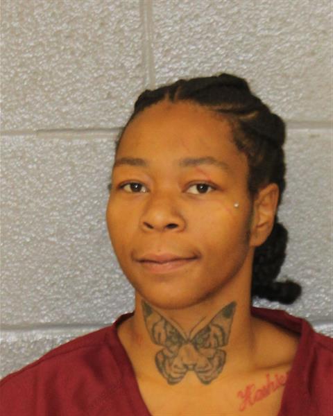 Booking photo of Demani Love