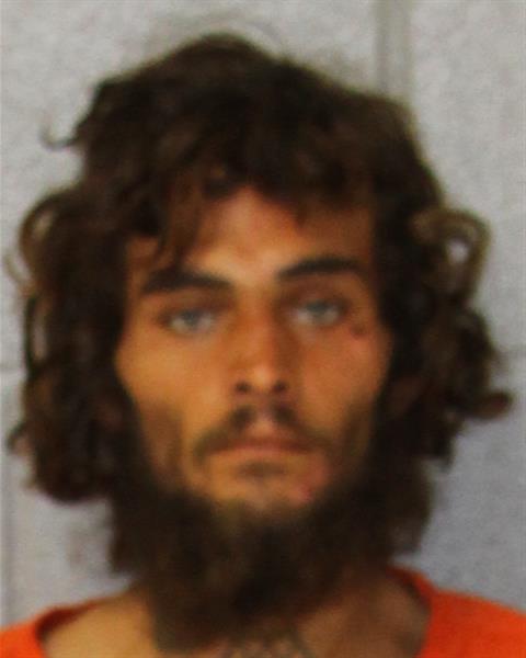 Booking photo of Nazariy Lewis
