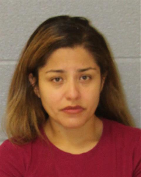 Booking photo of Pamela Hernandez-gomez