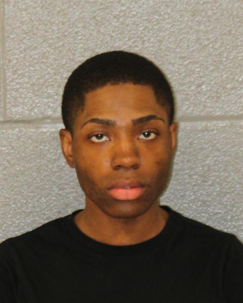 Booking photo of Dominique Tobias