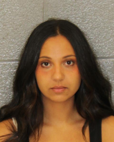 Booking photo of Diocelin Hernandez