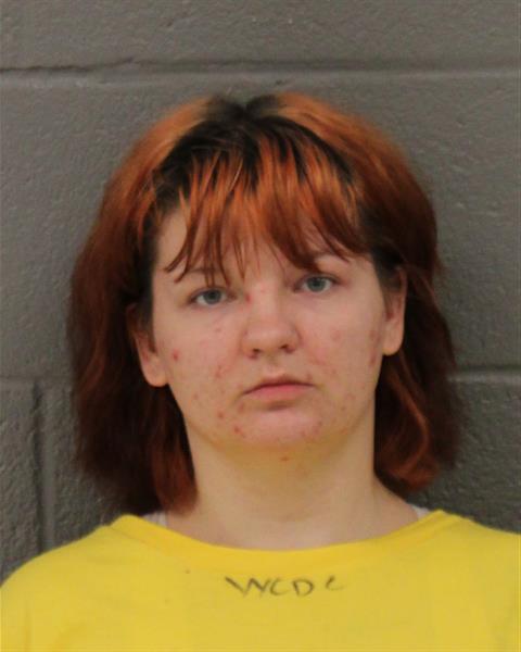 Booking photo of Destiny Coleman