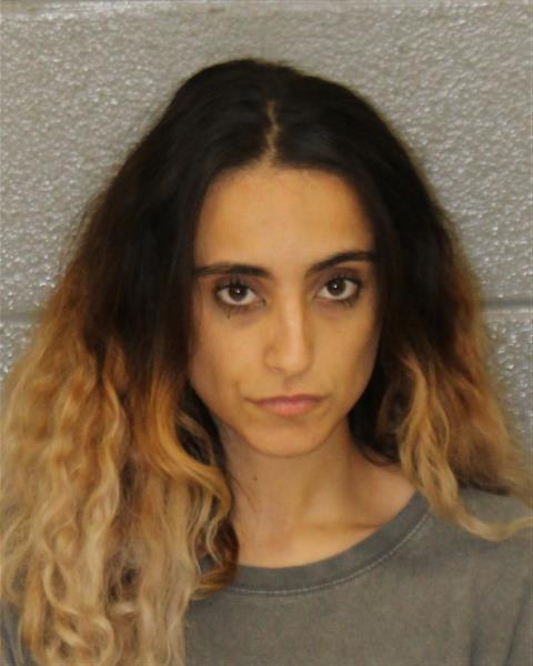 Booking photo of Laila Ghniem