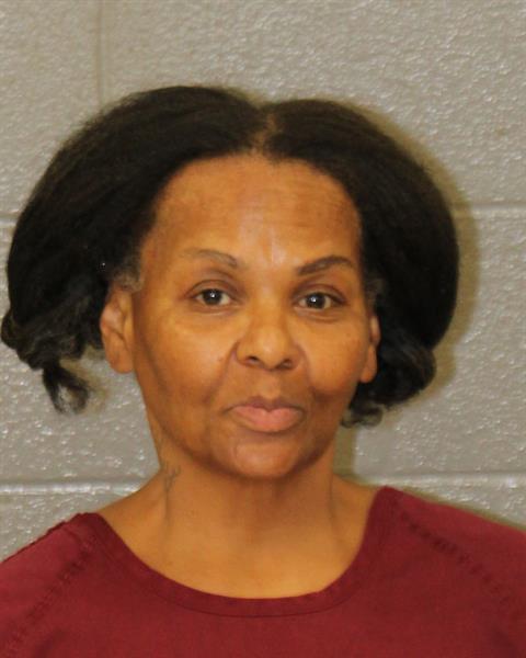 Booking photo of Sharon Anderson