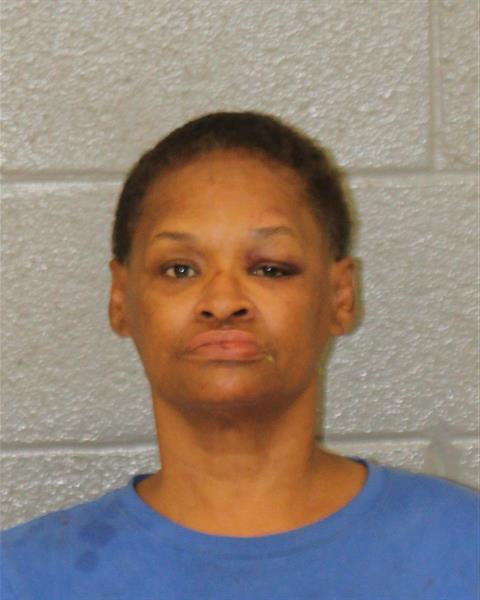 Booking photo of Tameka Johnson
