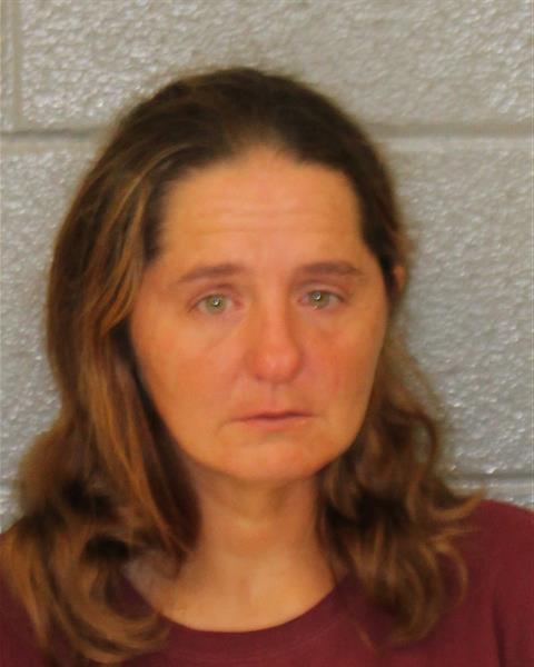 Booking photo of Anna Bridgeman