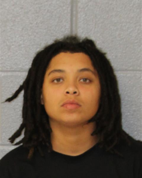 Booking photo of Jada Ussery
